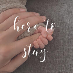 here to stay